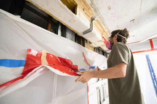 Mold Documentation for Insurance Claims in Powell, AL
