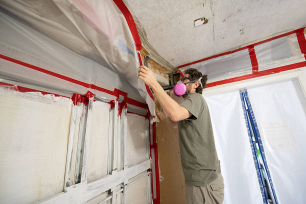 Best Airborne Mold Testing  in Powell, AL