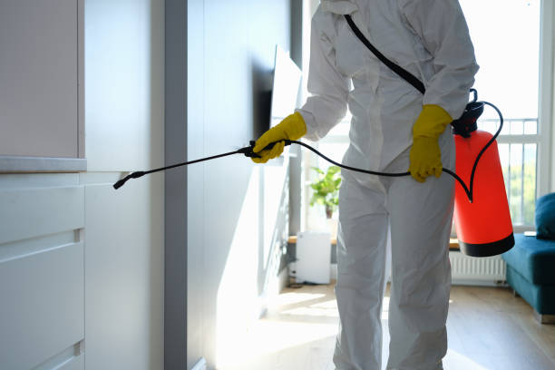 Best Biohazard Mold Removal  in Powell, AL