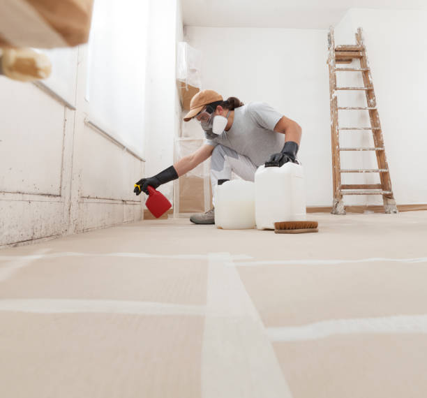 Best Post-Remediation Verification Testing  in Powell, AL