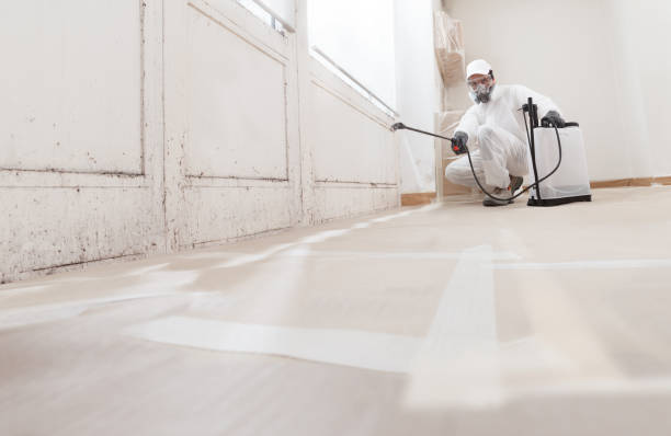 Best Mold Removal for HVAC Installations  in Powell, AL