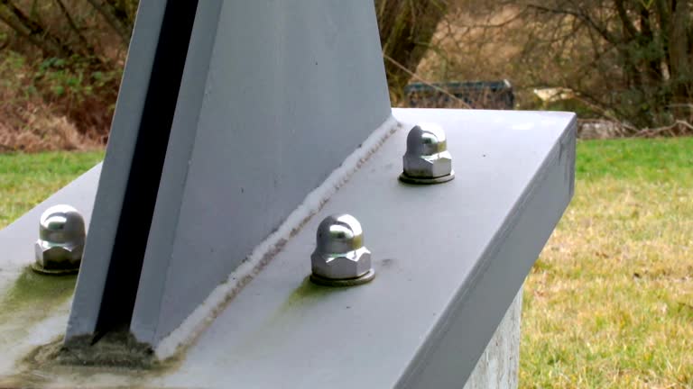 Forensic Mold Investigation in Powell, AL